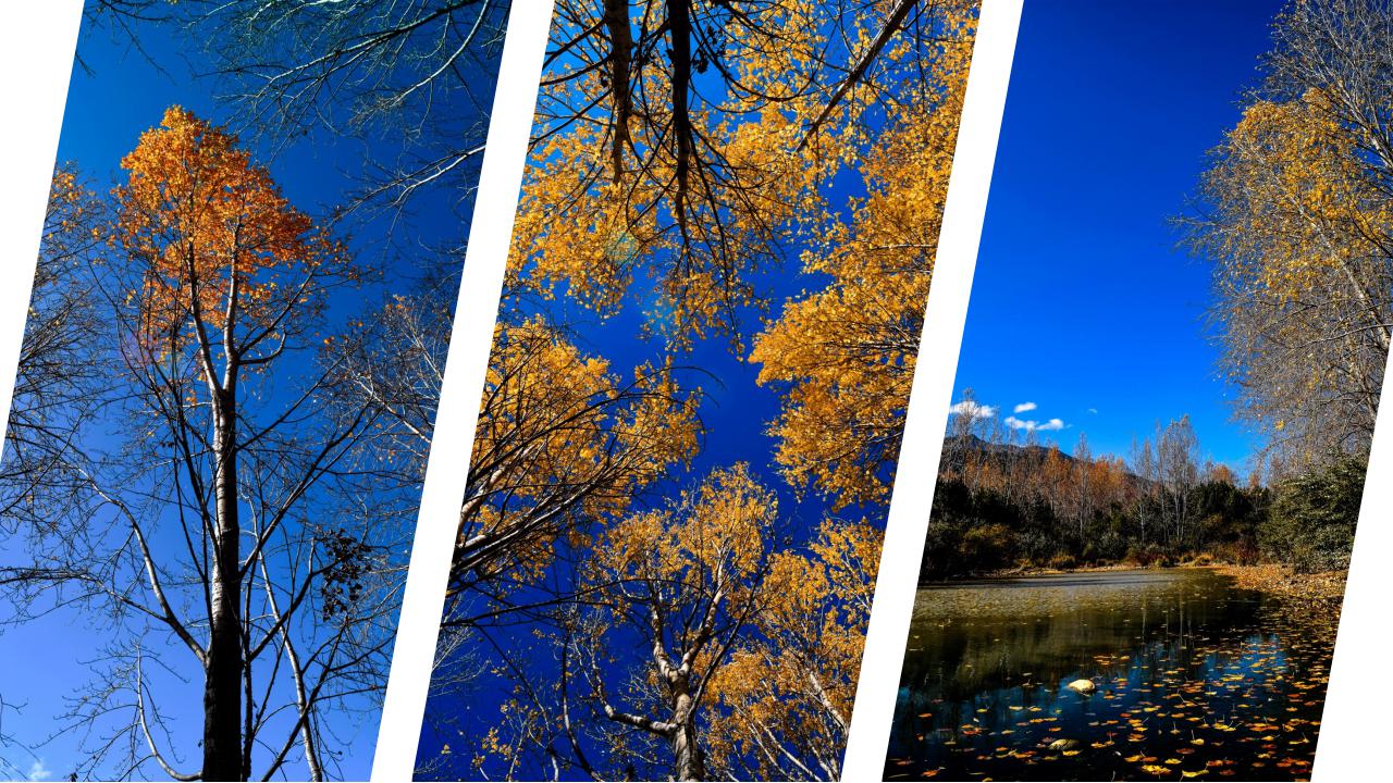 以旅游景点为主题的ppt模板_西藏印象