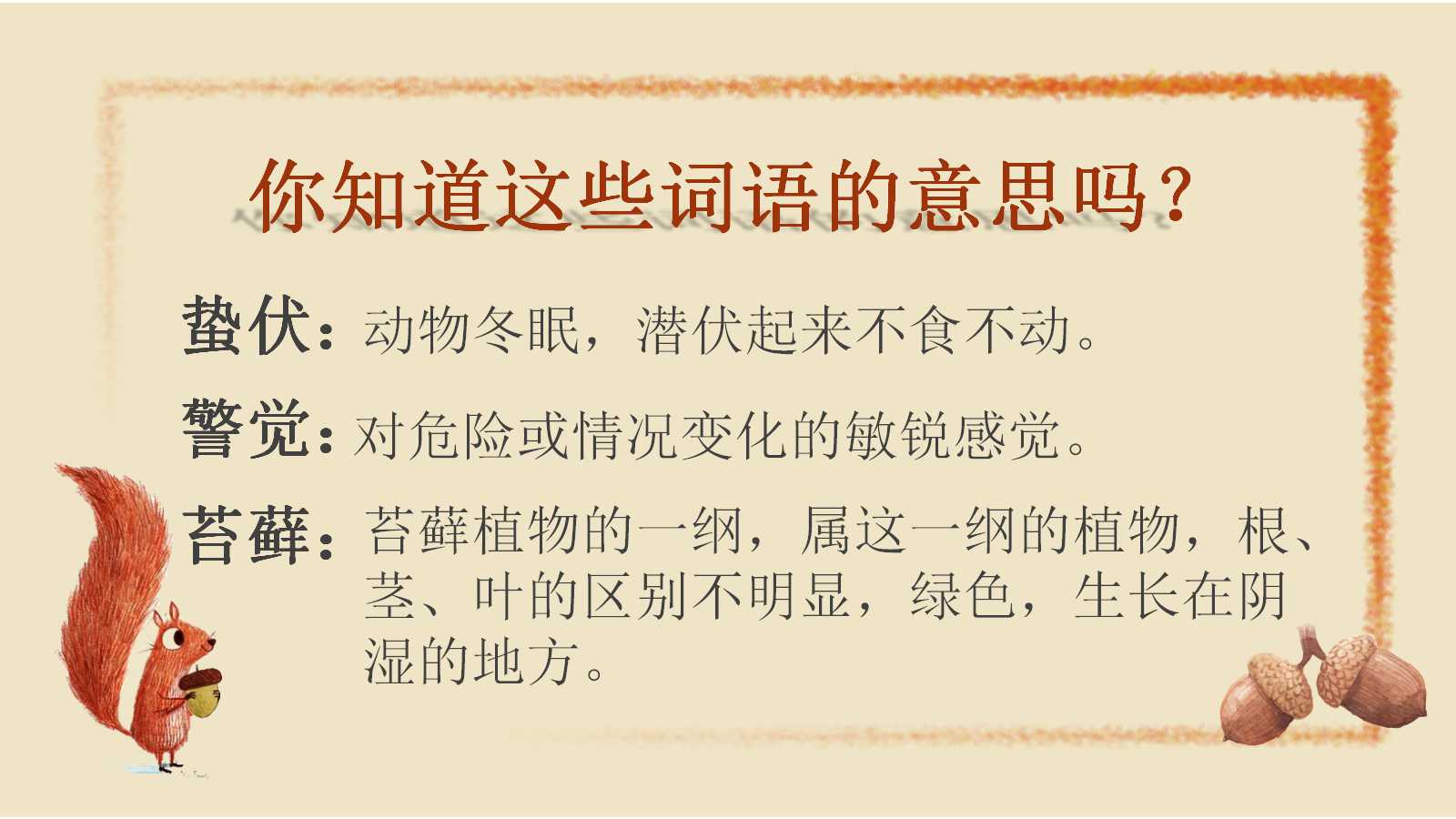 松鼠ppt课件完整版