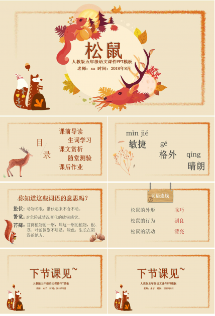 松鼠ppt课件完整版