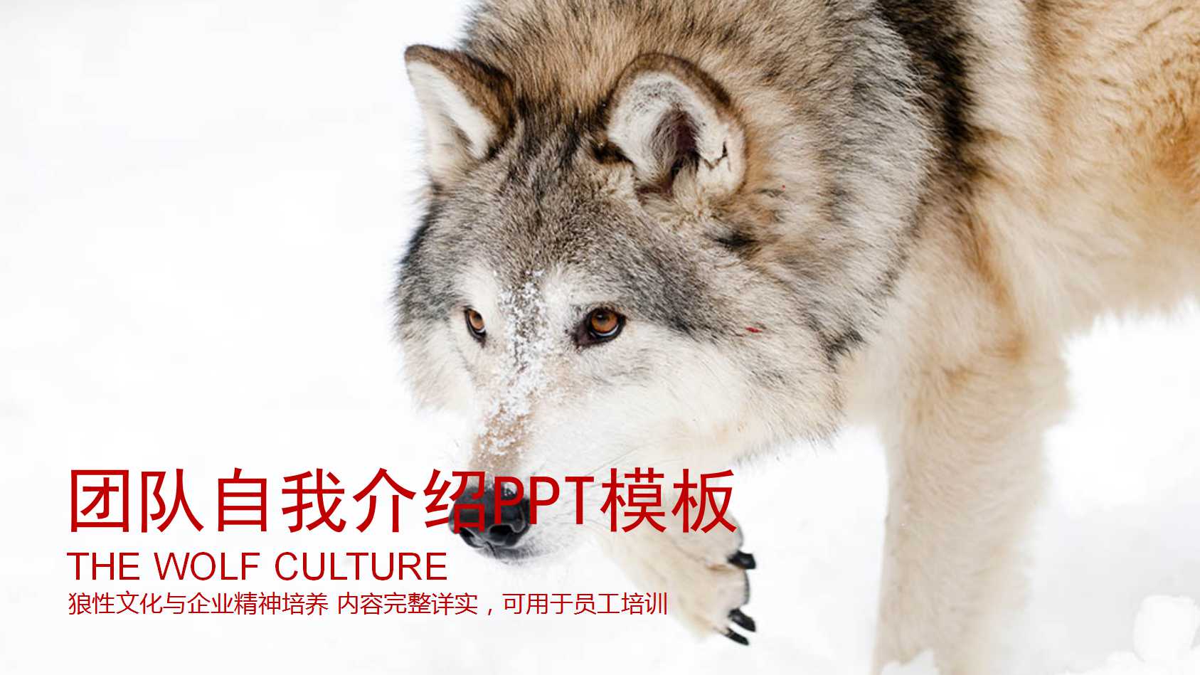 团队自我介绍ppt模板