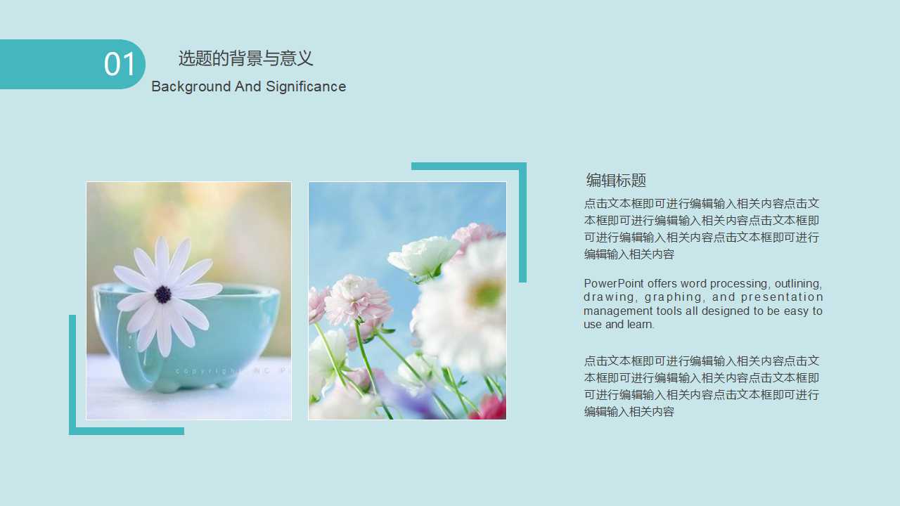 优秀毕业论文答辩ppt模板