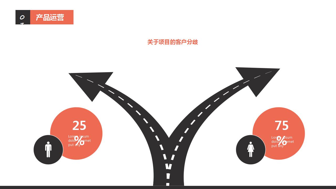 新产品招商方案ppt模板