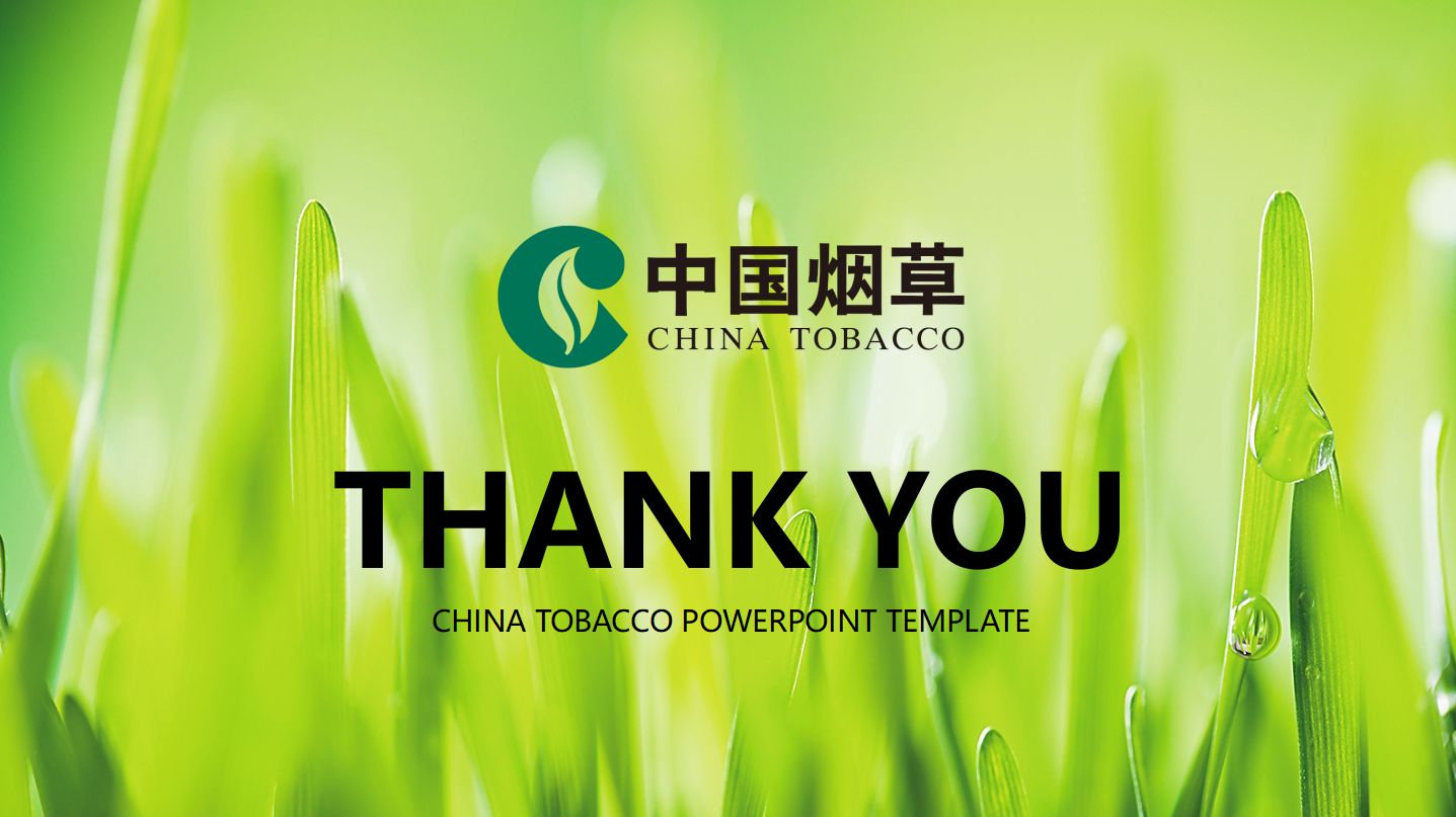 卷烟零售终端建设ppt模板