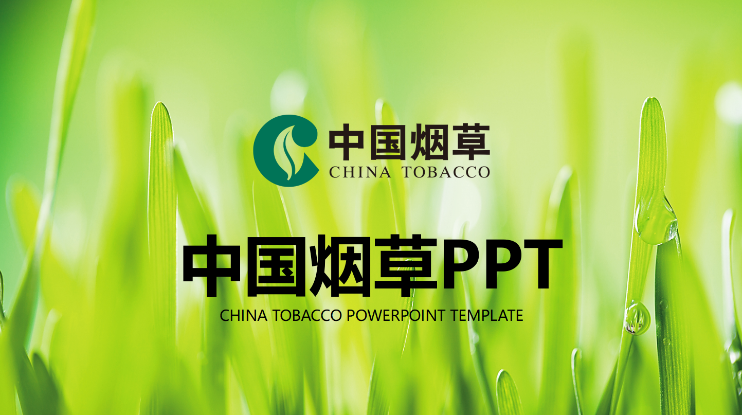 卷烟零售终端建设ppt模板