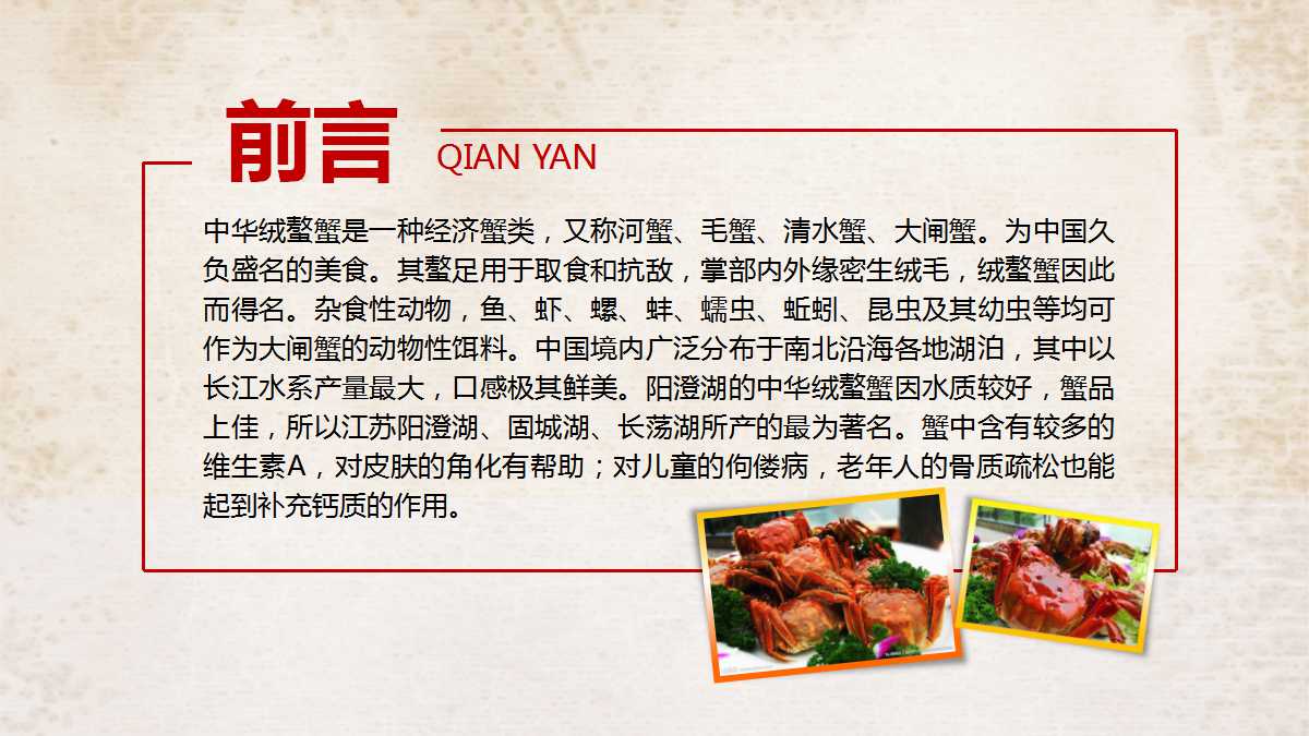 舌尖上的美食ppt模板