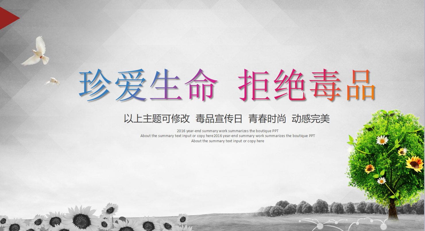 大学生禁毒活动策划书ppt模板