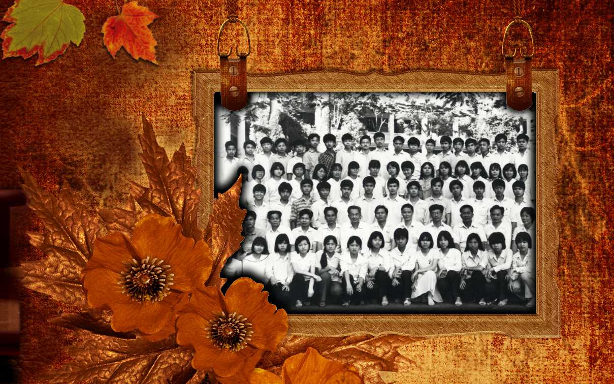 老人祝寿ppt模板