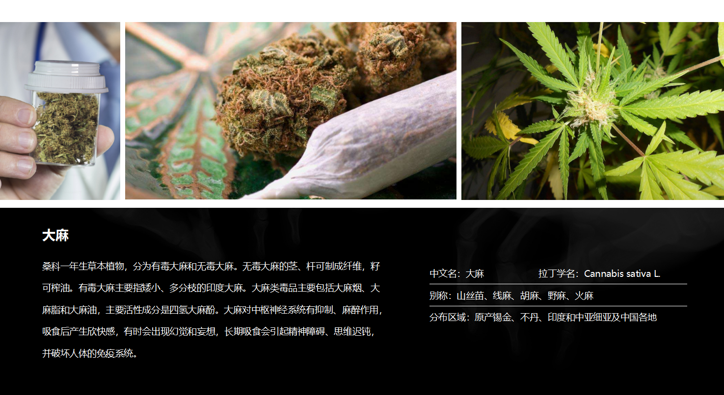 中国禁毒网知识竞赛ppt模板