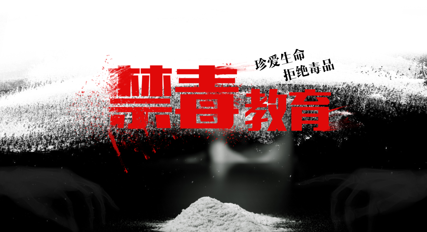 中国禁毒网知识竞赛ppt模板