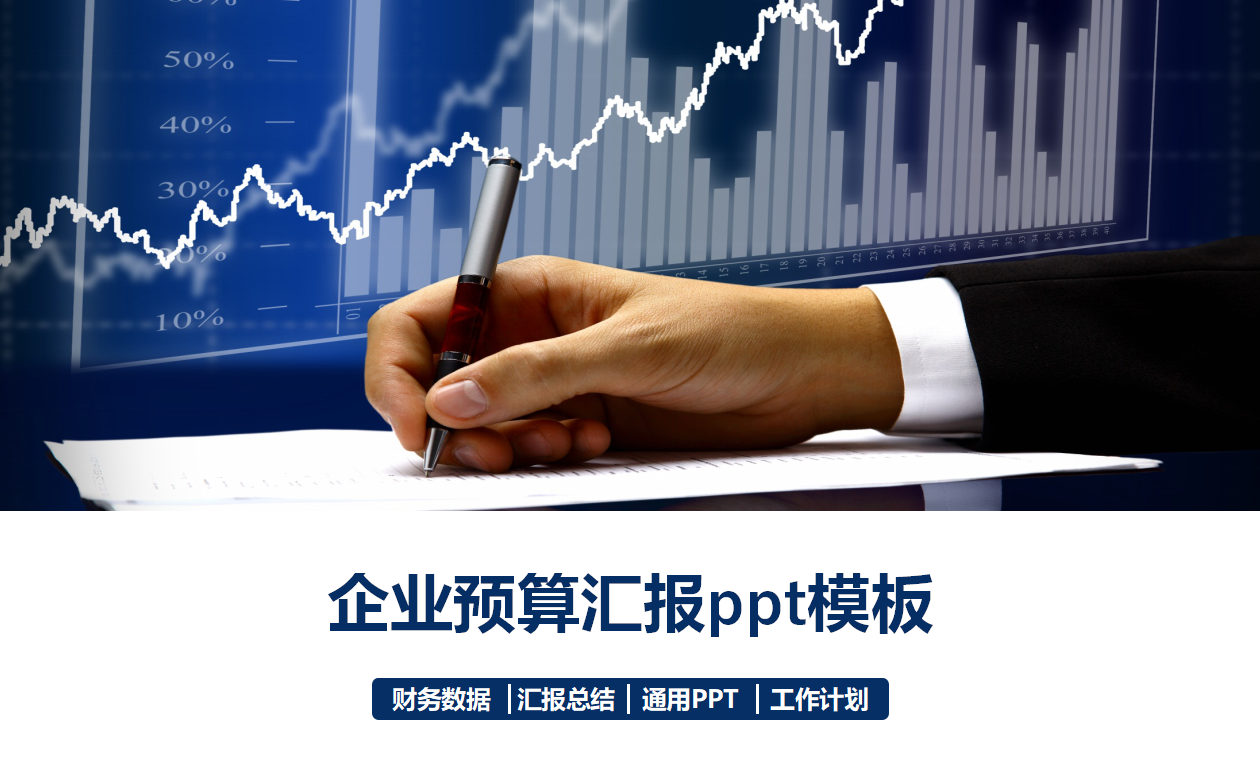 企业预算汇报ppt模板