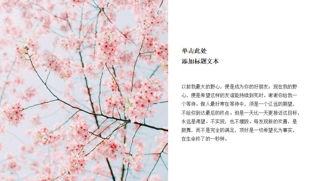 时尚小清新学生个人汇报ppt模板