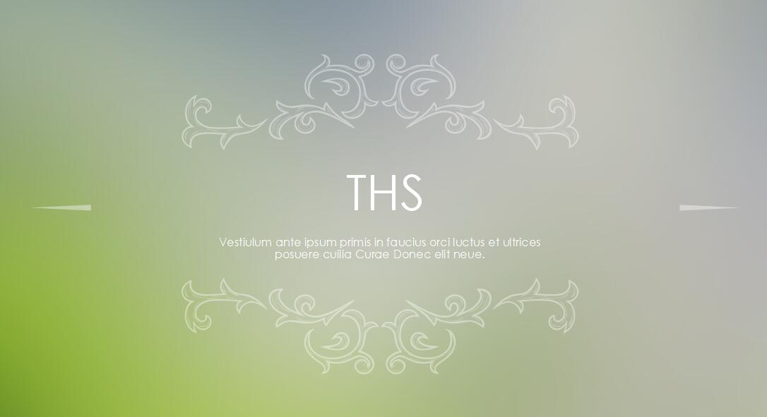 简约ios风格食品销售汇报ppt模板