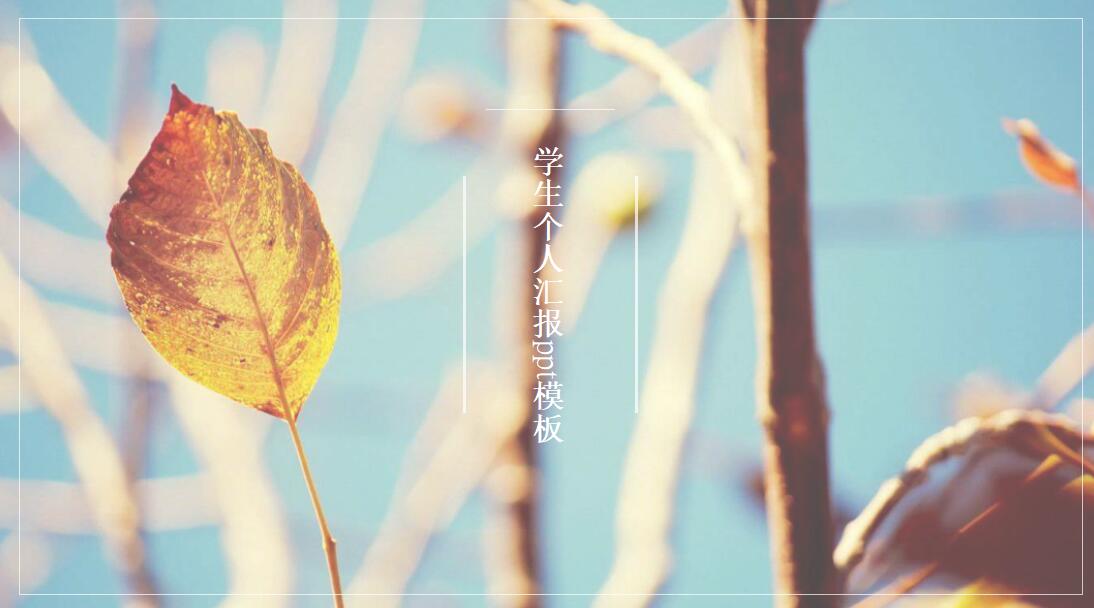 时尚小清新学生个人汇报ppt模板