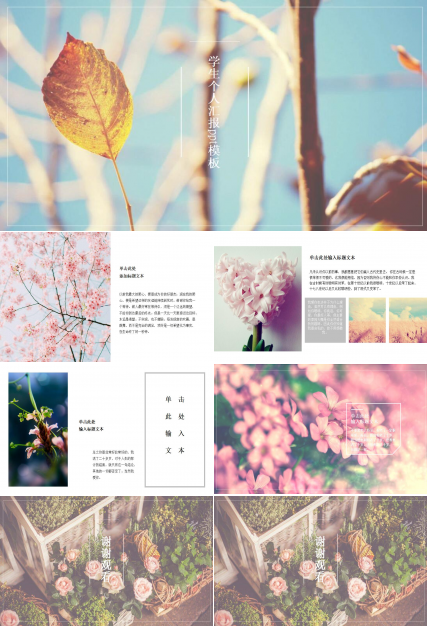 时尚小清新学生个人汇报ppt模板