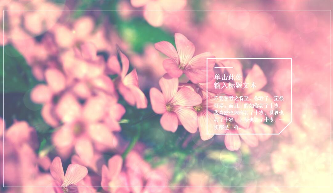 时尚小清新学生个人汇报ppt模板