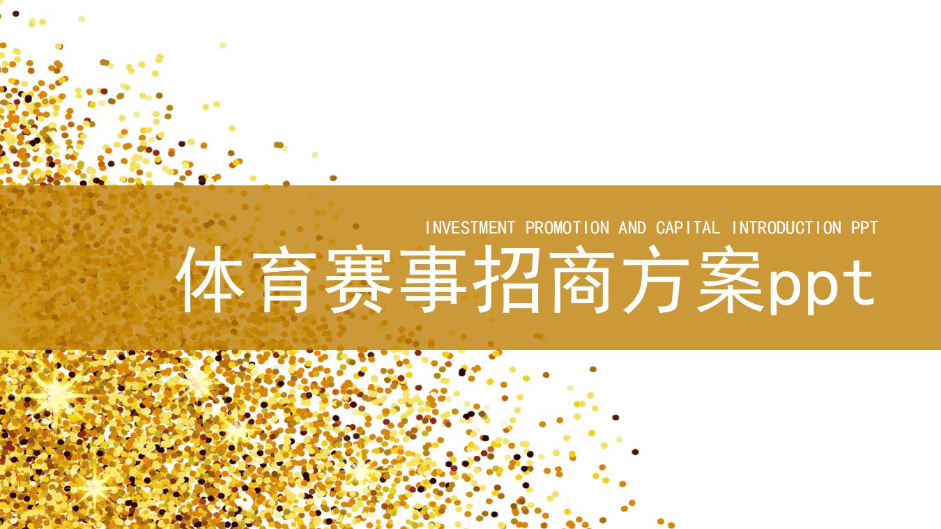 体育赛事招商方案ppt