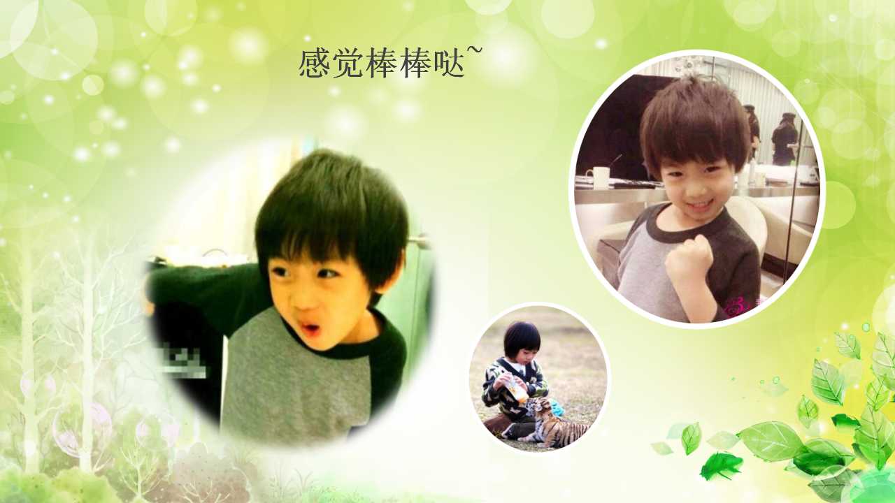 生日电子相册ppt模板