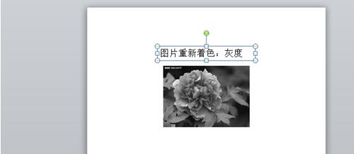 QQ截图20180119093627.jpg
