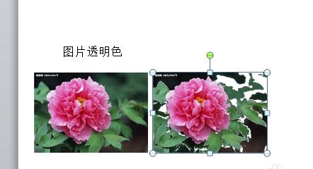 QQ截图20180119093710.jpg