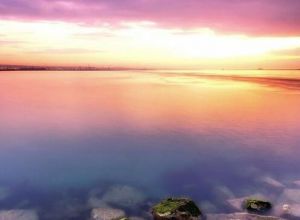 ppt怎么把图片虚化