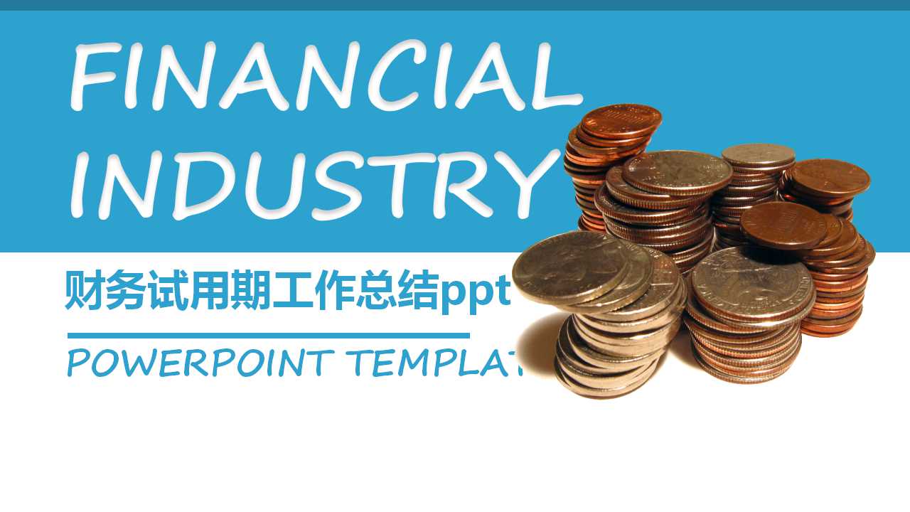 财务试用期工作总结ppt