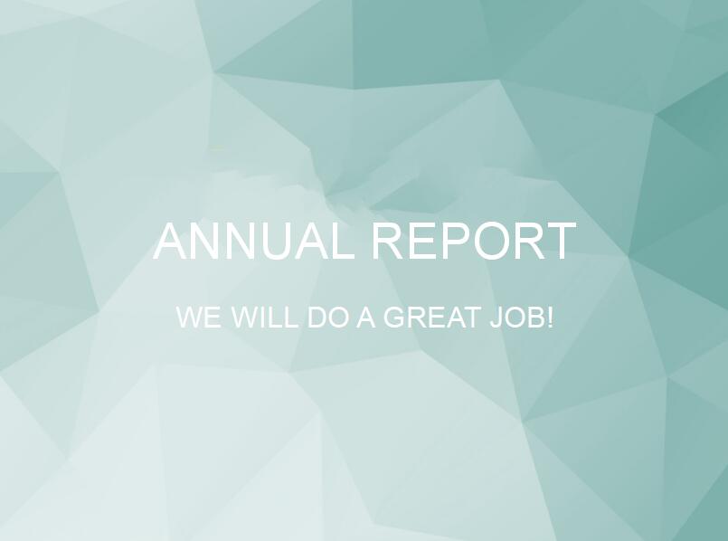 简洁大方项目总结汇报ppt模板