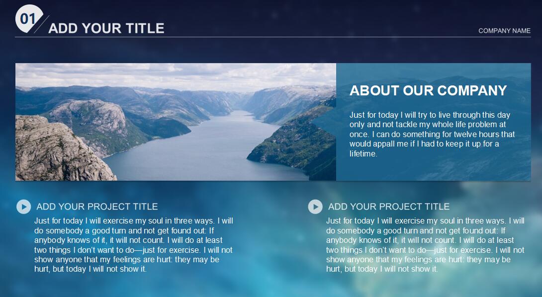 国外时尚软件项目进度汇报ppt模板