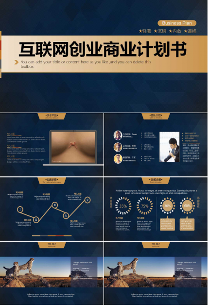 互联网创业商业计划书ppt模板