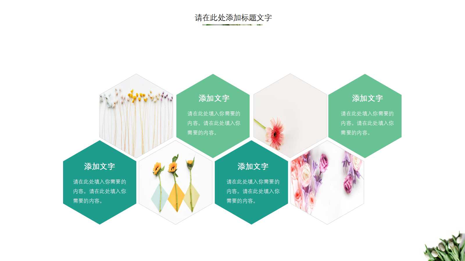 大班数学公开课ppt课件