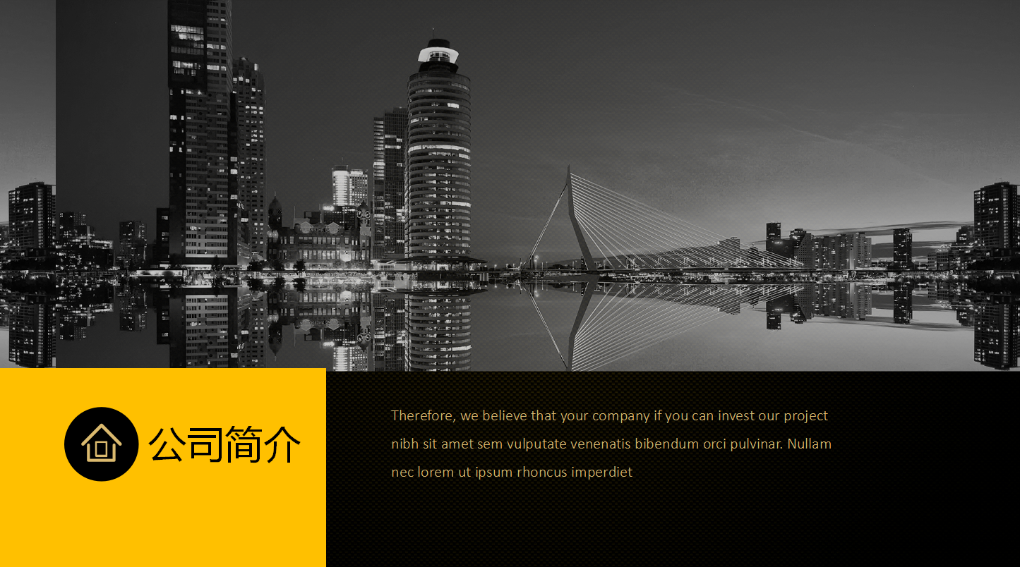 软件测试项目总结ppt模板