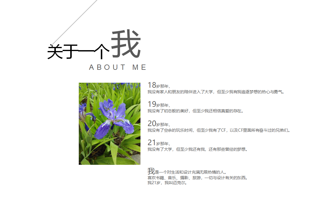 环艺毕业开题报告ppt