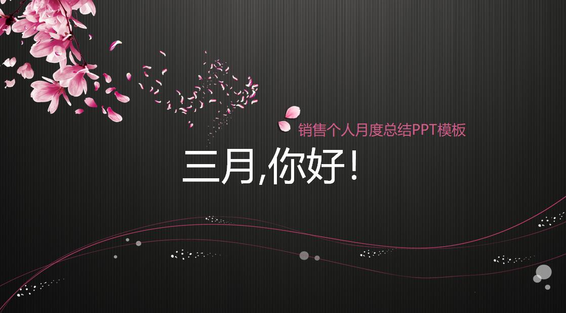 销售个人月度总结PPT模板