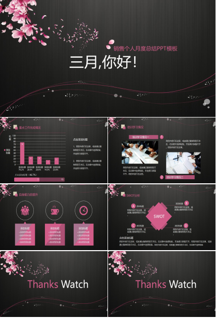 销售个人月度总结PPT模板