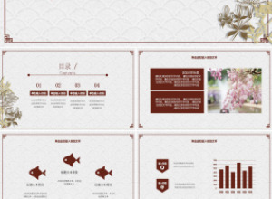 幼儿小班年终ppt模板下载推荐