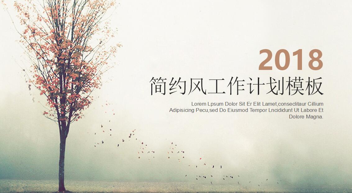 简约风工作计划ppt模板