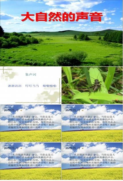 大自然的声音ppt课件