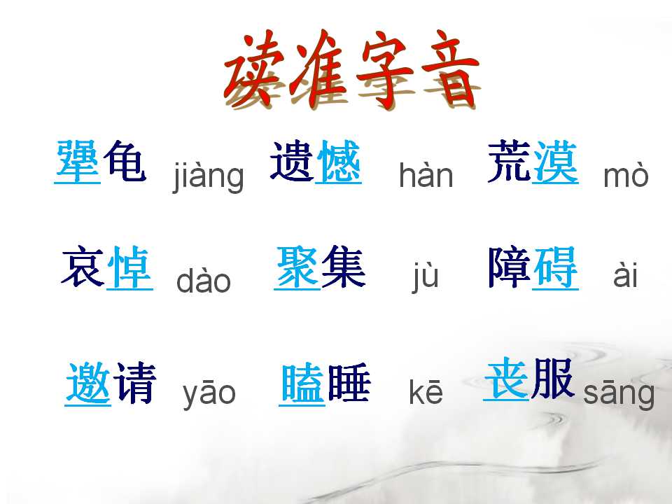 犟龟ppt课件