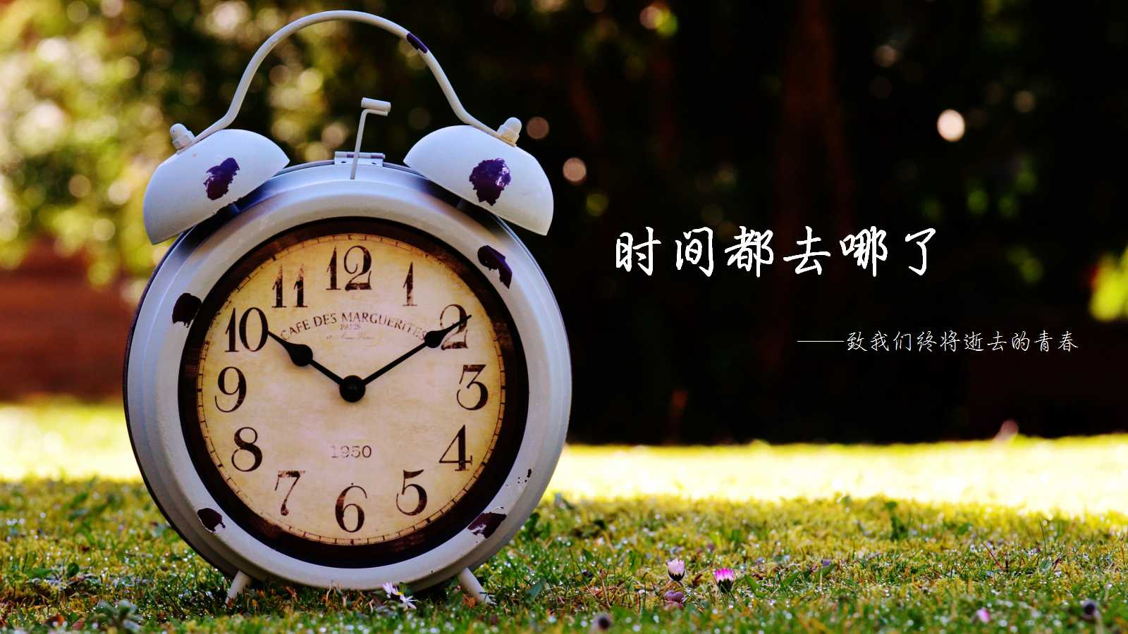 同学会ppt制作