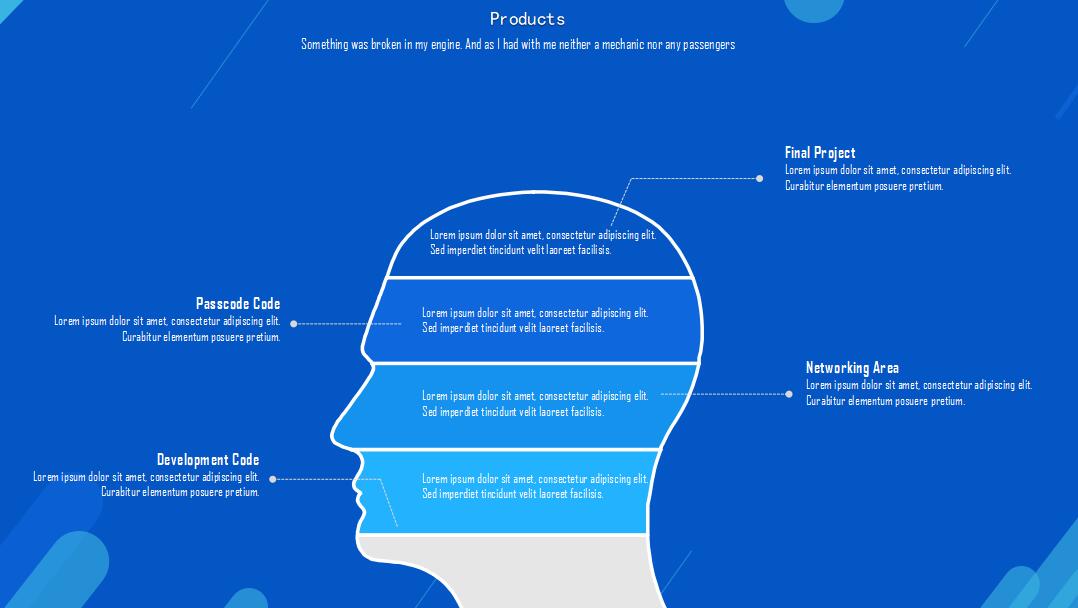电子商务案例分析ppt模板