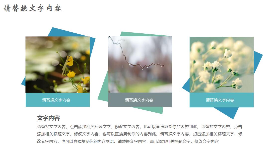 教育汇报ppt模板