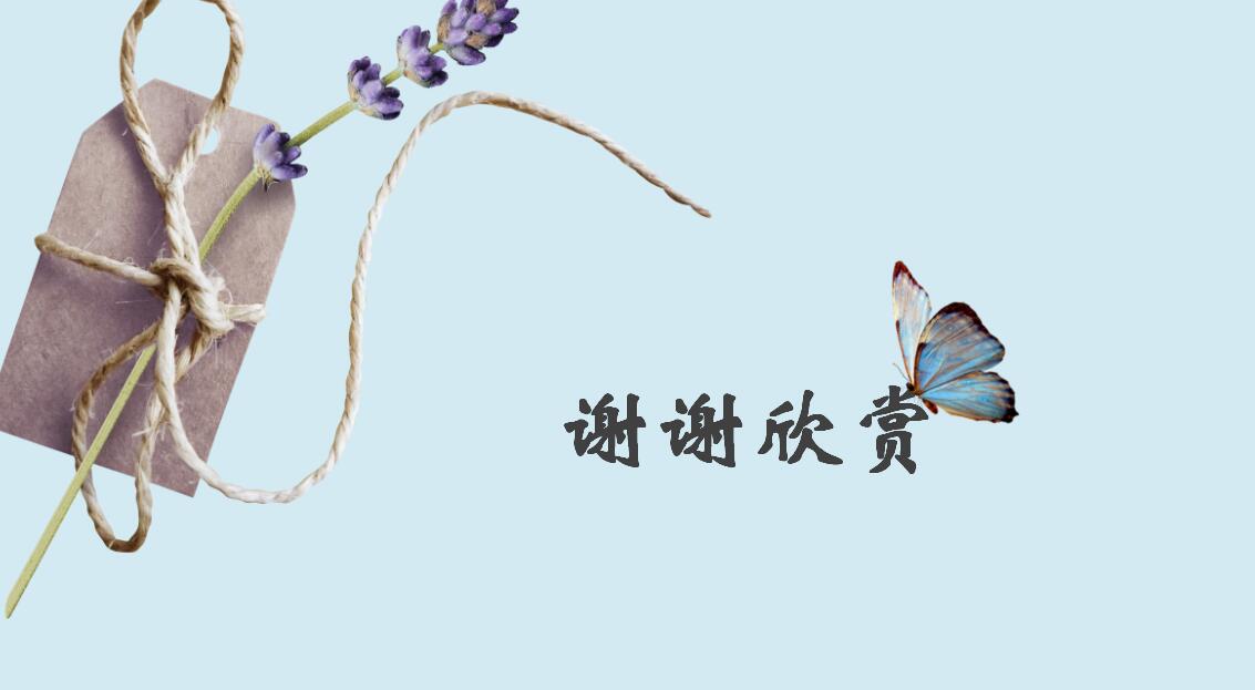 教育汇报ppt模板