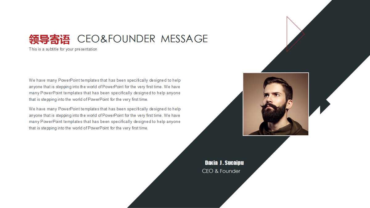 项目策划ppt模板