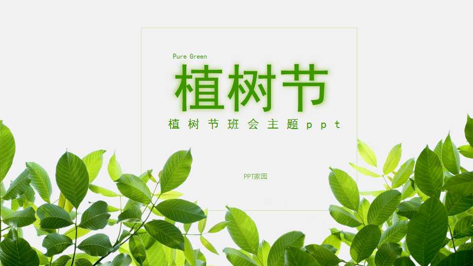 植树节班会主题ppt