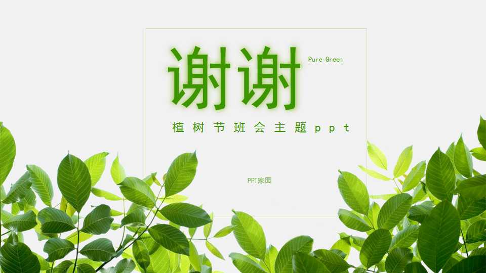 植树节班会主题ppt