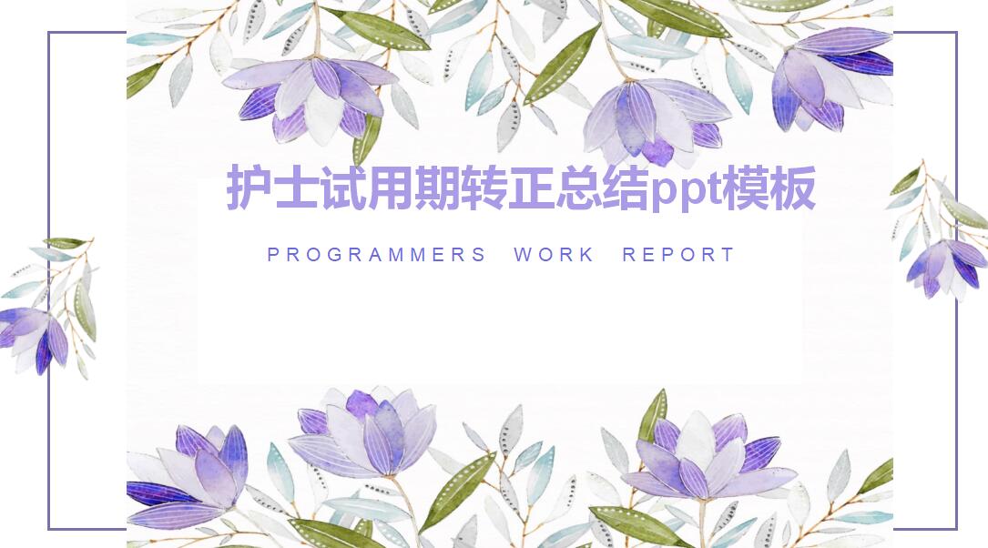 护士试用期转正总结ppt模板