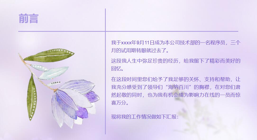 护士试用期转正总结ppt模板