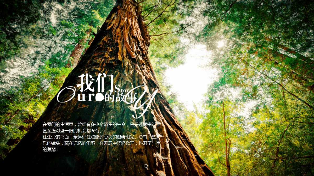 同学聚会青春回忆ppt模板