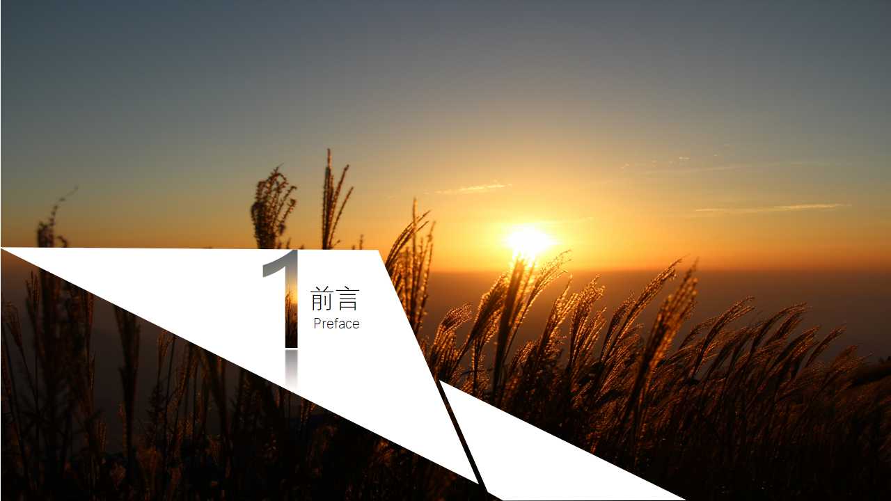采购总监年终总结ppt