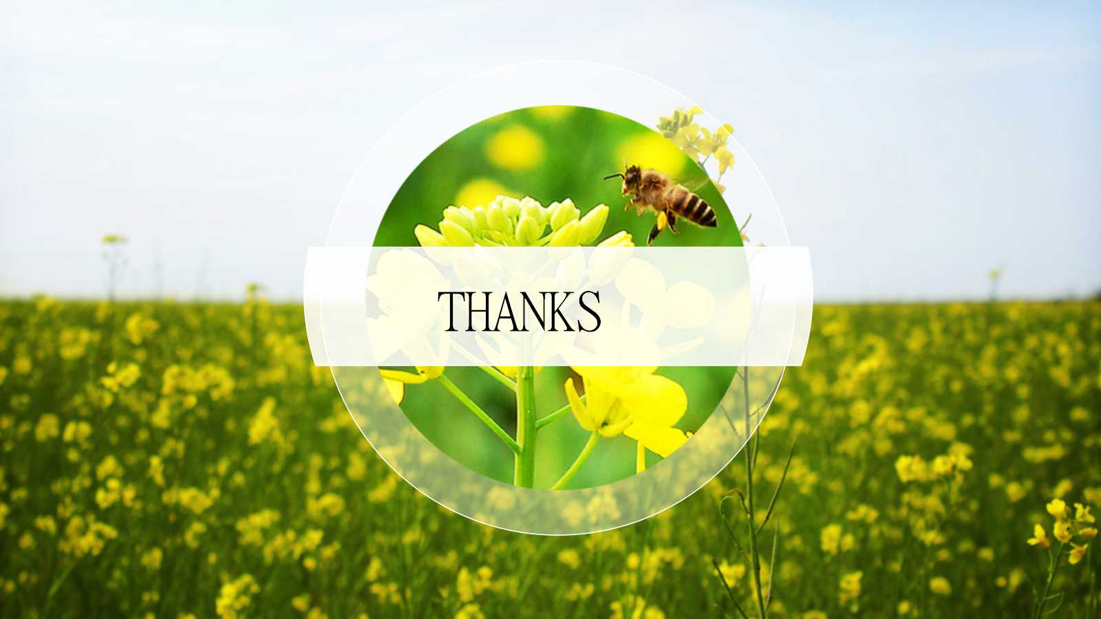 风景优美的地方ppt