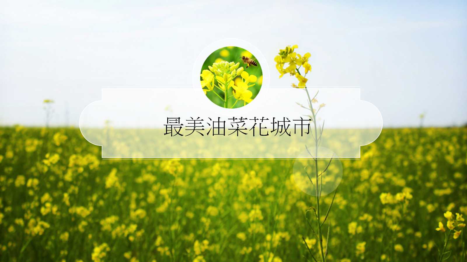 风景优美的地方ppt